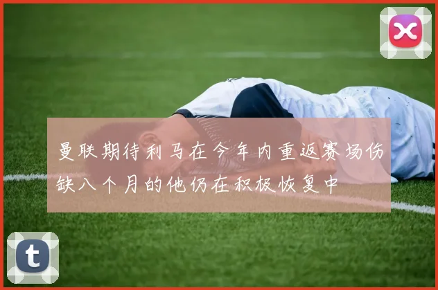 曼联期待利马在今年内重返赛场伤缺八个月的他仍在积极恢复中