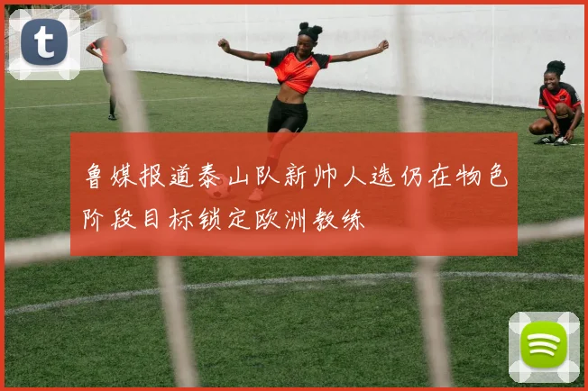 鲁媒报道泰山队新帅人选仍在物色阶段目标锁定欧洲教练