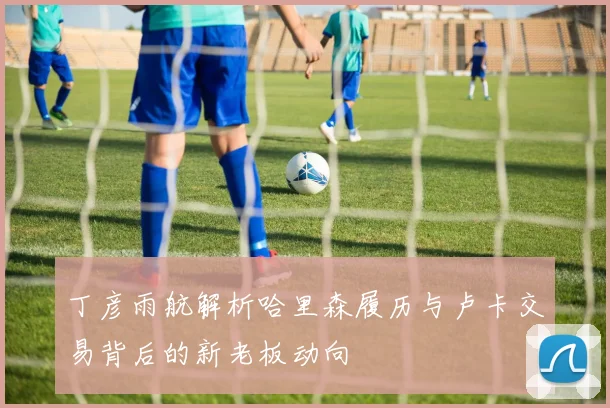 丁彦雨航解析哈里森履历与卢卡交易背后的新老板动向