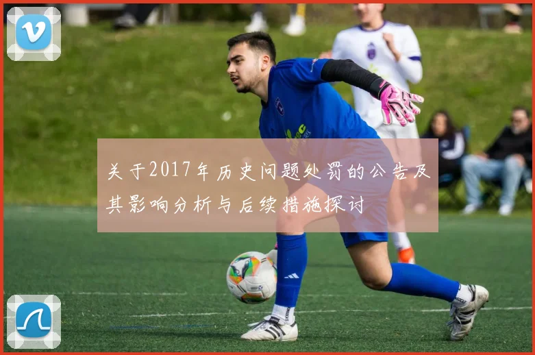 关于2017年历史问题处罚的公告及其影响分析与后续措施探讨