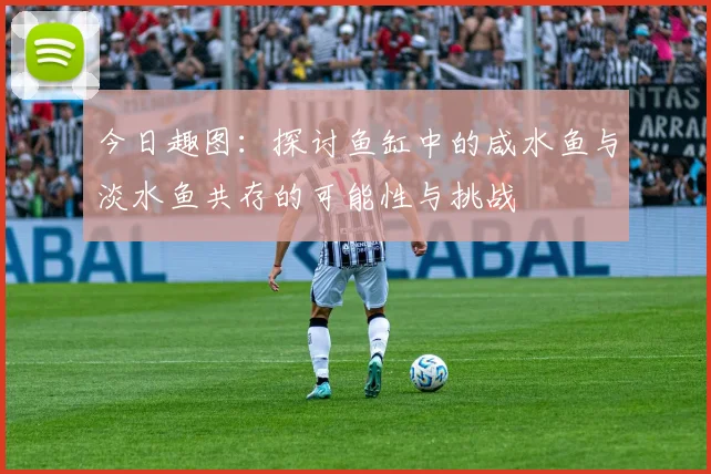 今日趣图：探讨鱼缸中的咸水鱼与淡水鱼共存的可能性与挑战