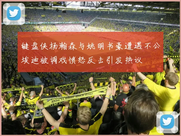 键盘侠杨瀚森与姚明书豪遭遇不公埃迪被调戏愤怒反击引发热议