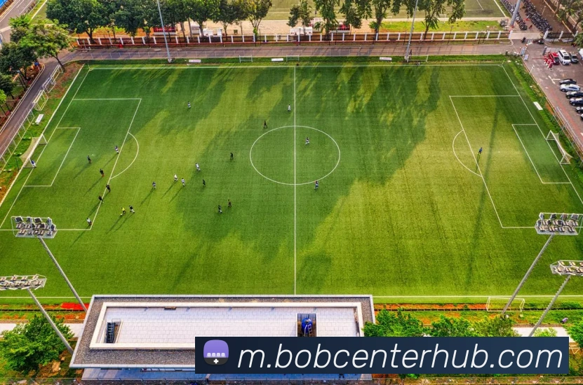 BOB体育服务体系